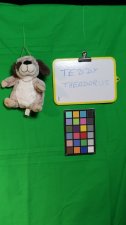 teddy