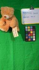 nounours doux