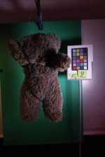 Teddy