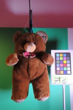 Teddy rinner le raton laveur