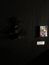 146DC6DD 5F09 4DD8 9255 F60A41D30B8A