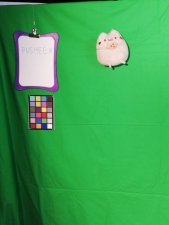 pusheen