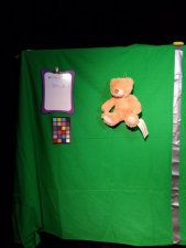 nounours dulce