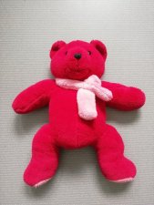 Ours rouge frileux ( Nunursus Rubrum )