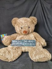 Ours brun