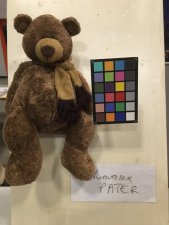 Nounours papa
