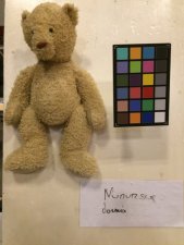 Nounours