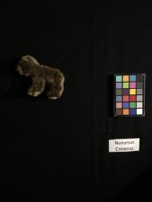 Nunursus 