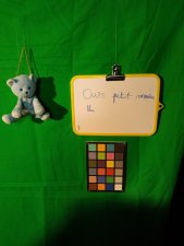 Petit mouton bleu