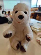 Ours blanc
