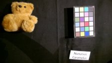 Caramelus