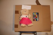 Nounours