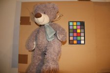 Petit nounours