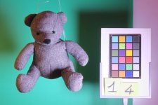 Monsieur Nounours
