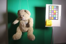 Nounours