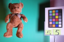 Teddy