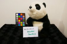 Doudou Panda