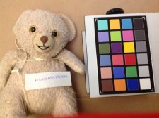 Nounours préférer 