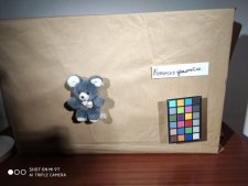 15696018367827321212103954953272