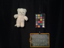 nounours
