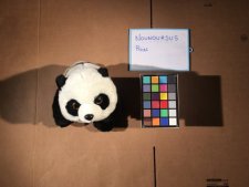 Po