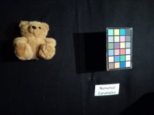 IMG 20190927 213515