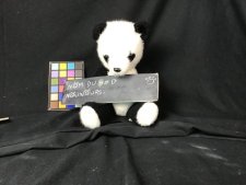 Ted
