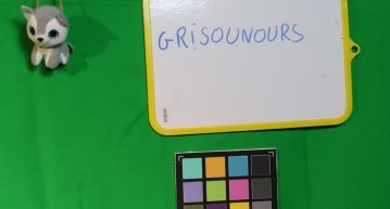 grisounours