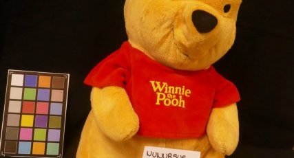 Winnie 1