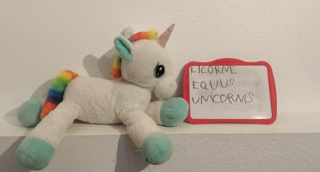 Licorne