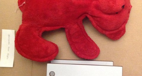Nounours rigolo