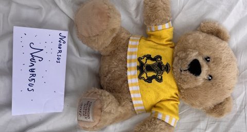 Nounours