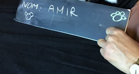 Amir