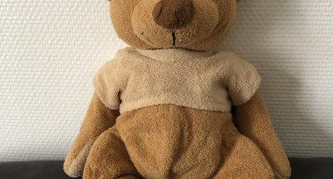 Teddy