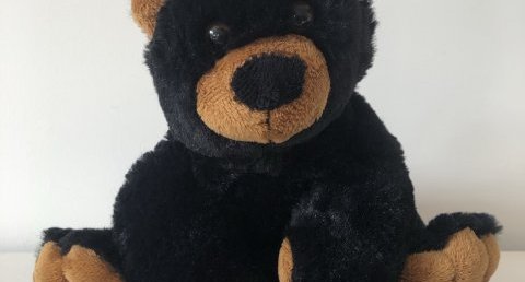 Nounours Peluchologie