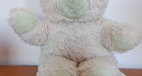Nounours