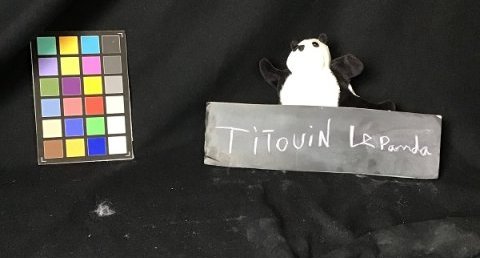 Titouan le panda