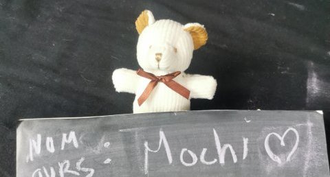 Mochi