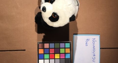 Po