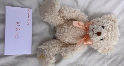 Nounours