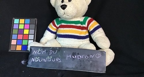 Hudson