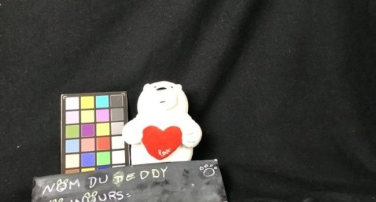 Teddy