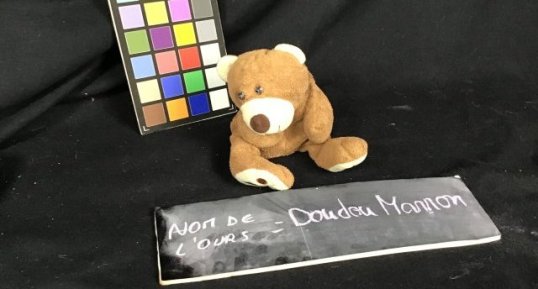 Doudou marron