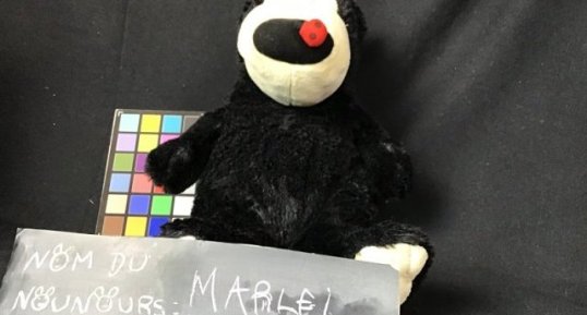 Marley
