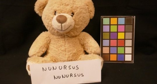 Nounours