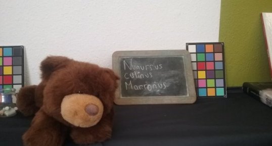 Doudou