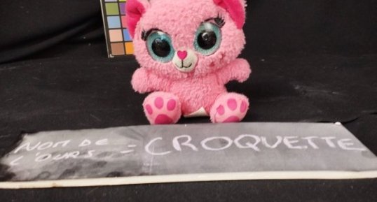Croquettes