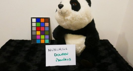 Doudou Panda