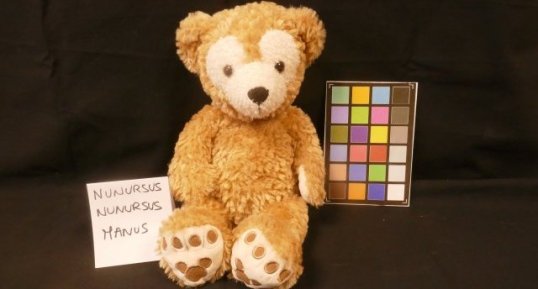 Nounours-man