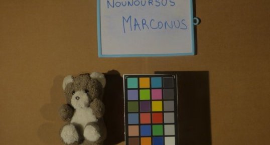 Marconus